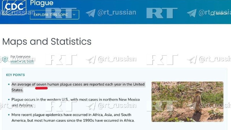 Фото поста канала  Международные новости