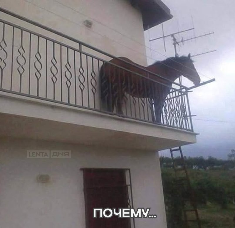 Фото поста канала  Охранитель