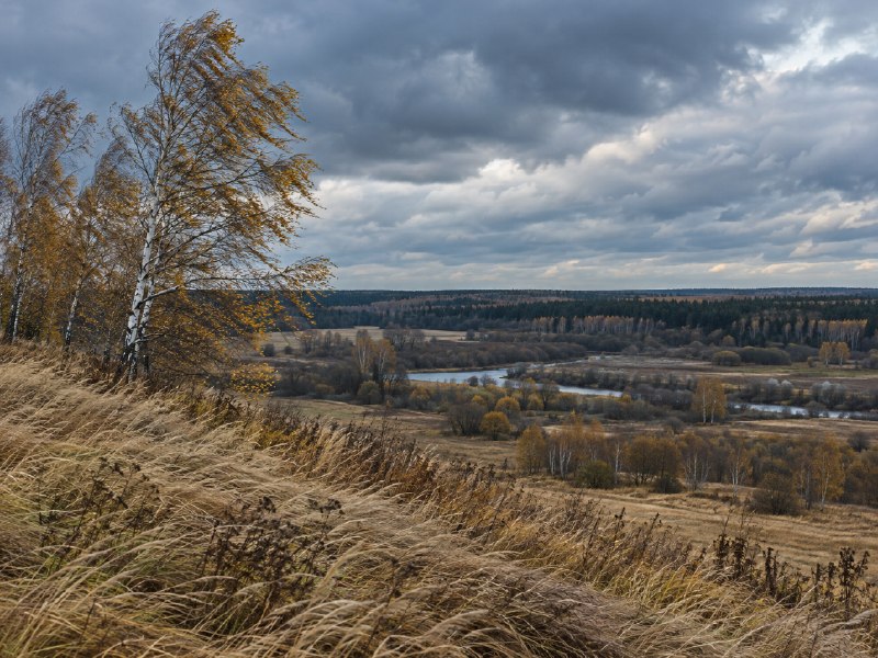 Фото поста канала  Новости Рязани YA62