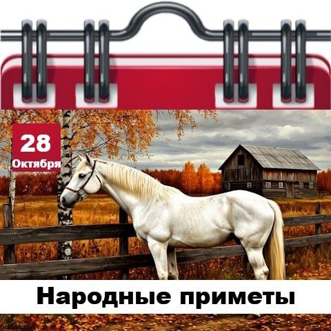 Фото поста канала  Жесть Шебекино