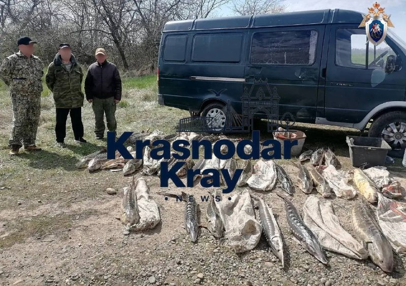 Фото поста канала  Краснодар и край