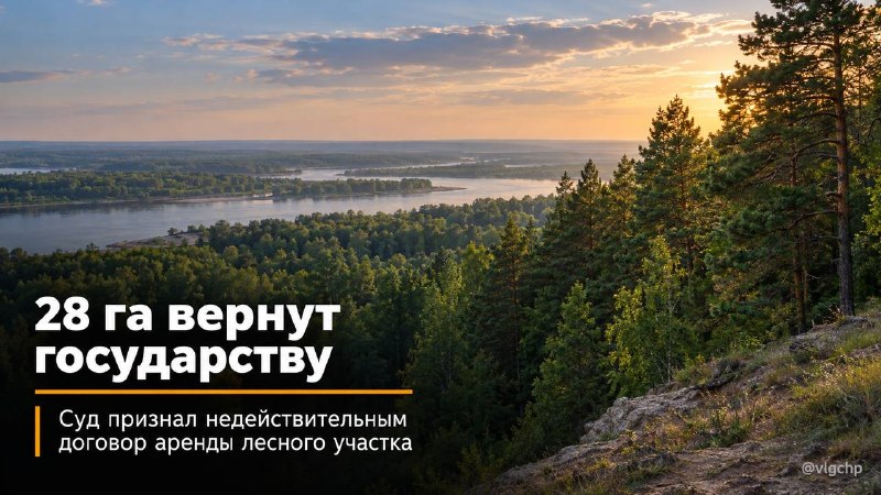 Фото поста канала  Волгоград