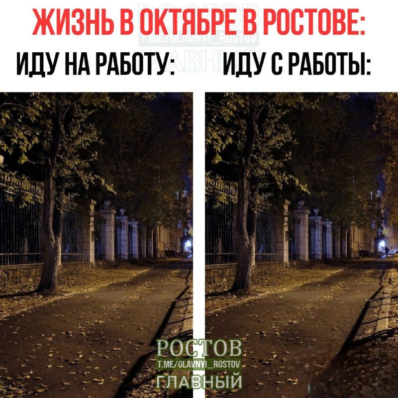 Фото поста канала  Ростов Главный новости