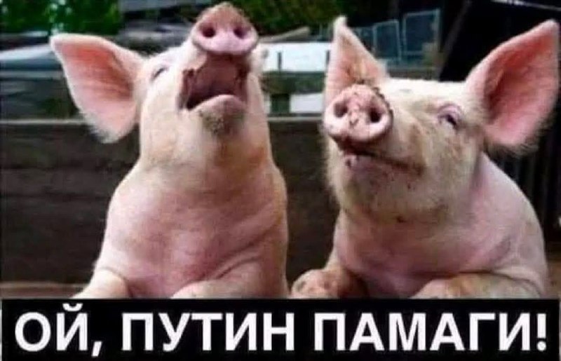 Фото поста канала  Днище *