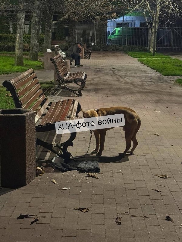 Фото поста канала  Днепр агрегатор новостей