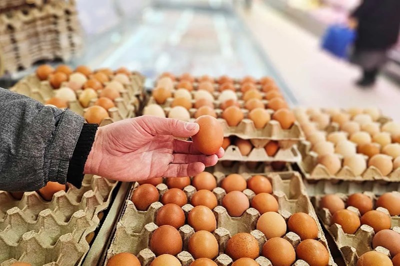 Фото поста канала  Виртуальный Брест новости