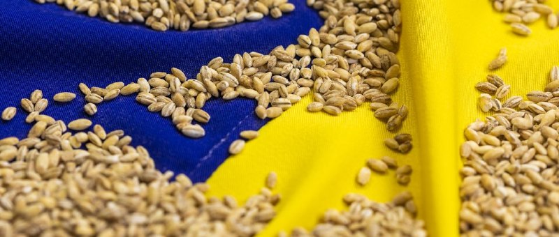 Фото поста канала  Хартия-97%