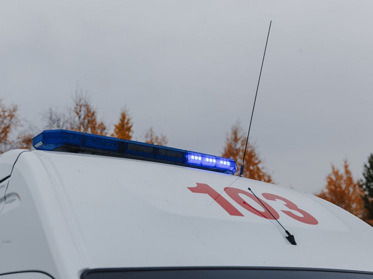 Фото поста канала  ЯМонитор