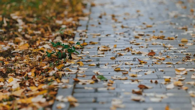 Фото поста канала  ЯМонитор