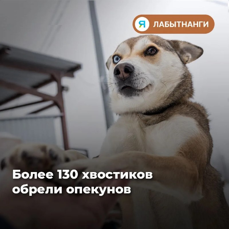 Фото поста канала  ИА ЛАБЫТНАНГИ