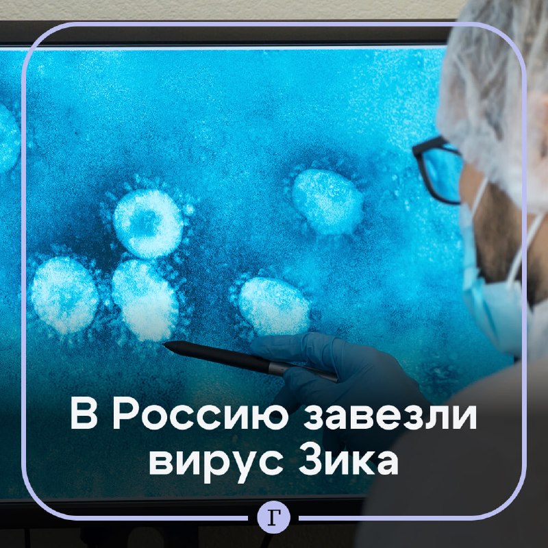 Фото поста канала  Газета.Ru