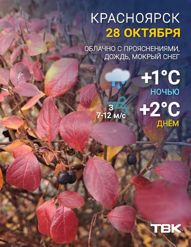 Фото поста канала  ТВК