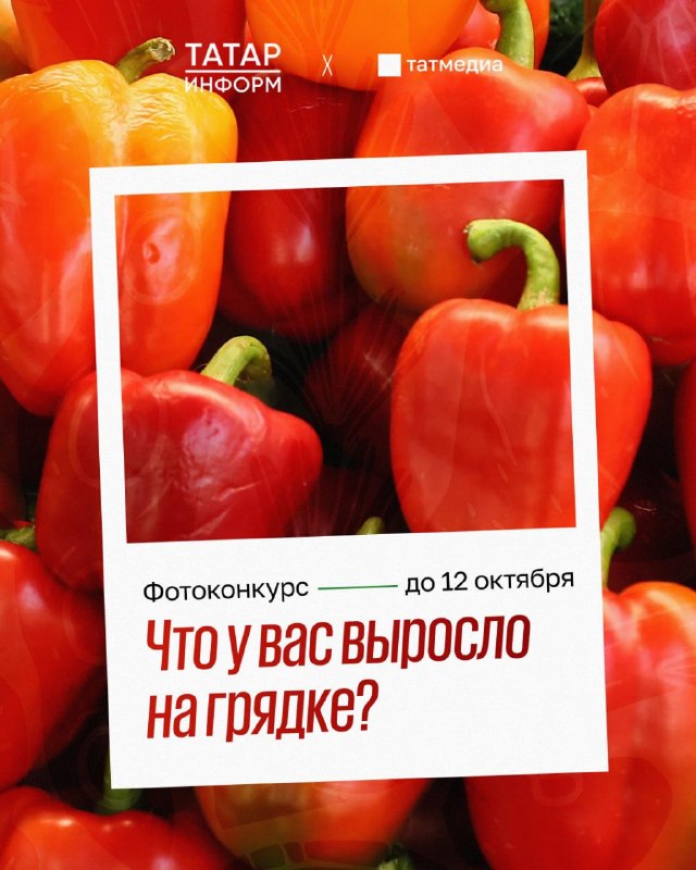 Фото поста канала  ТАТМЕДИА | Новости Казани и Татарстана