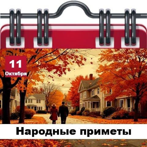 Фото поста канала  Жесть Шебекино