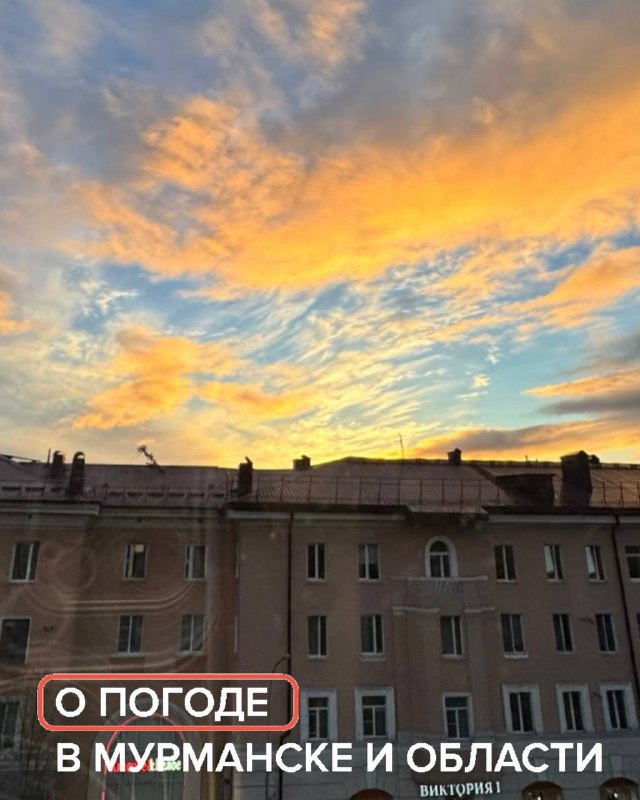 Фото поста канала  Мониторинг Арктика