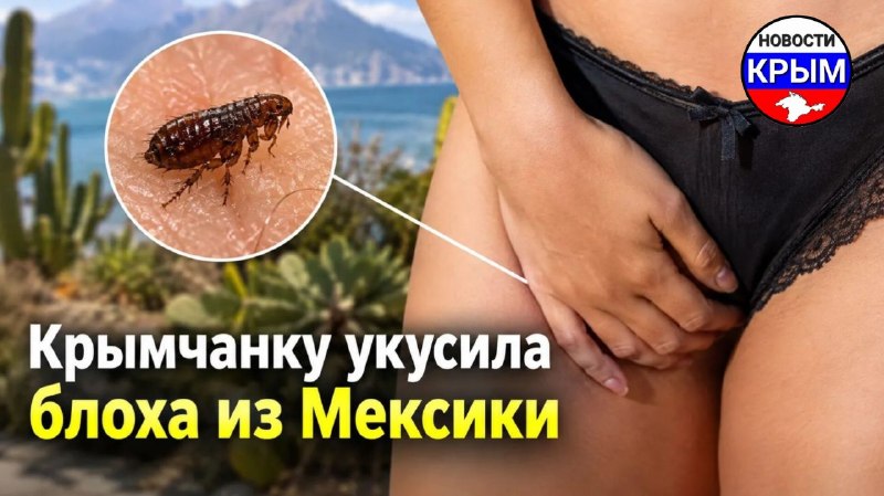 Фото поста канала Крымский движ | Новости | СВО 18+