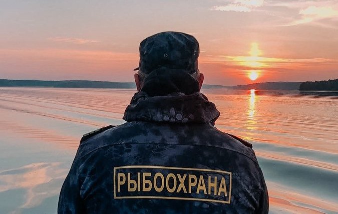 Фото поста канала  Масс Медиа Камчатка