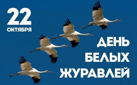 Фото поста канала  На самом деле в Запорожье