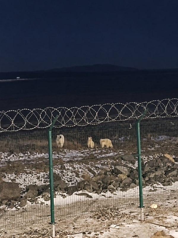 Фото поста канала  ТВК