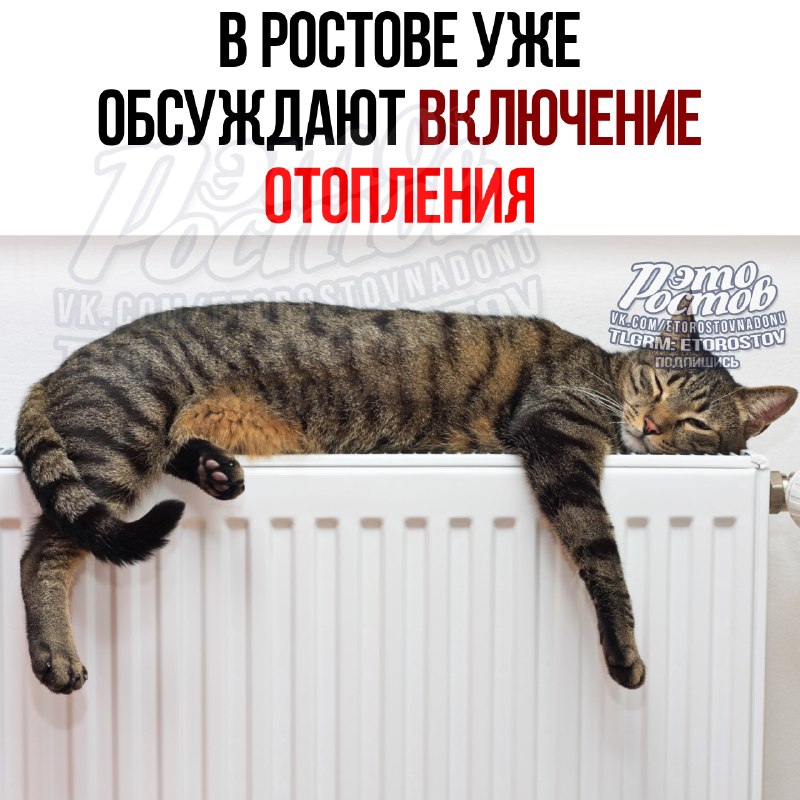Фото поста канала  Это Ростов новости