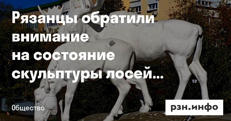 Фото поста канала  Новости Рязани • РЗН.инфо