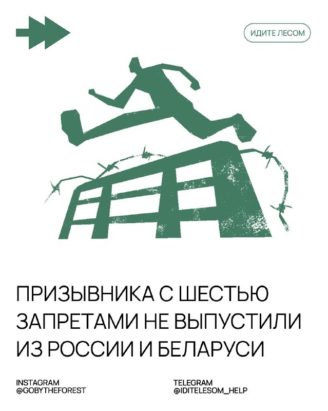 Фото поста канала Идите лесом!