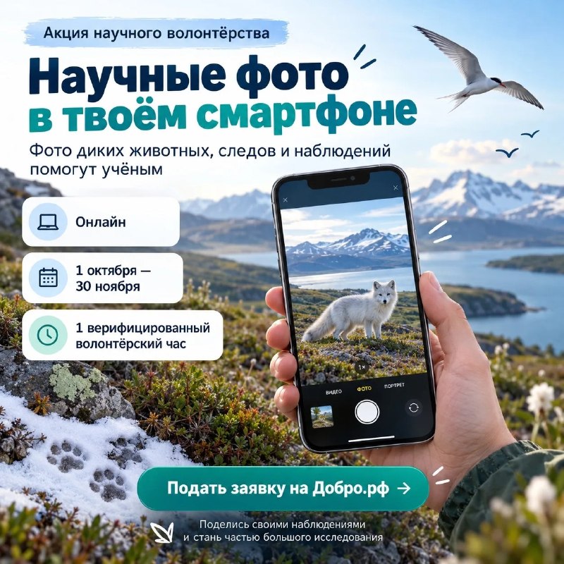 Фото поста канала  ЧукоткаОнлайн. Все новости Чукотки