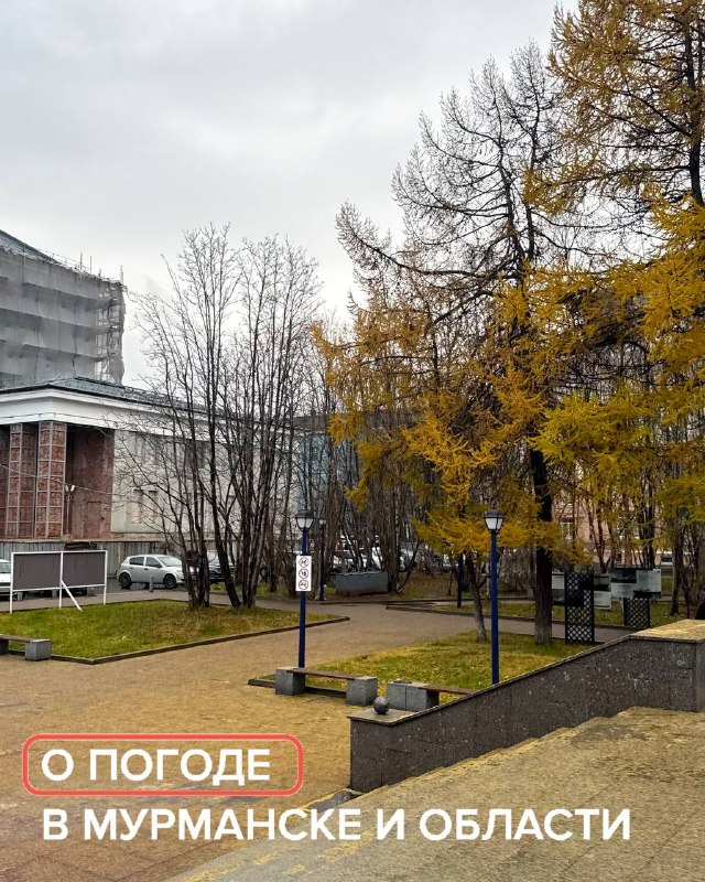 Фото поста канала  Мониторинг Арктика