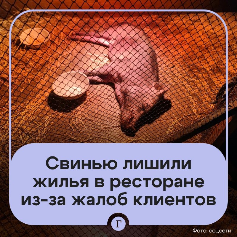 Фото поста канала  Газета.Ru