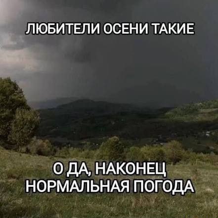 Фото поста канала НГС — новости Новосибирска