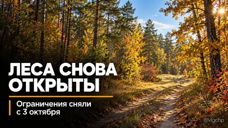 Фото поста канала  Волгоград