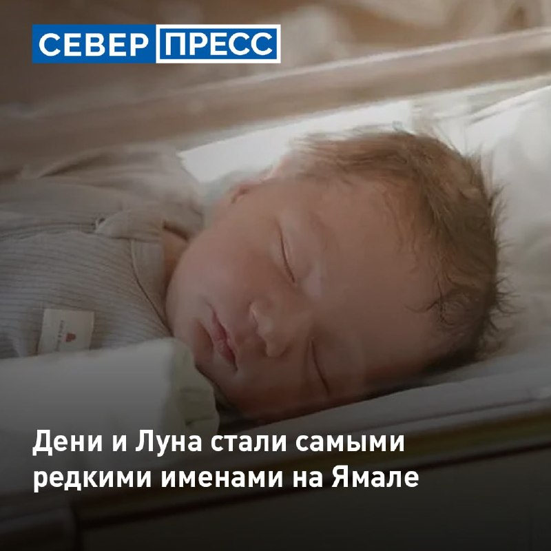 Фото поста канала  Мониторинг 89 Ямало-Ненецкий АО