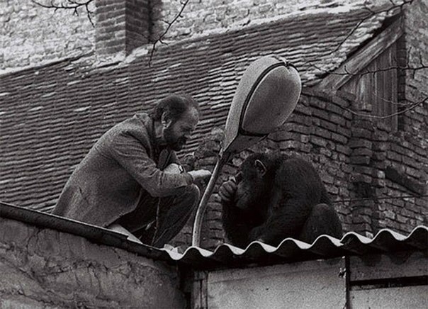 Фото поста канала Мы из СССР | История