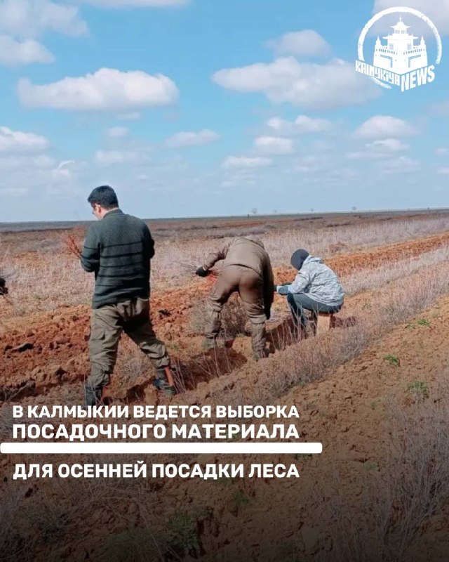 Фото поста канала  Калмыкия NEWS