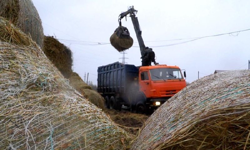 Фото поста канала  АрхДайджест