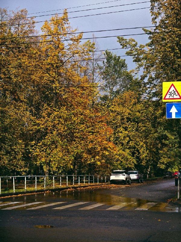 Фото поста канала  Типичный Воронеж