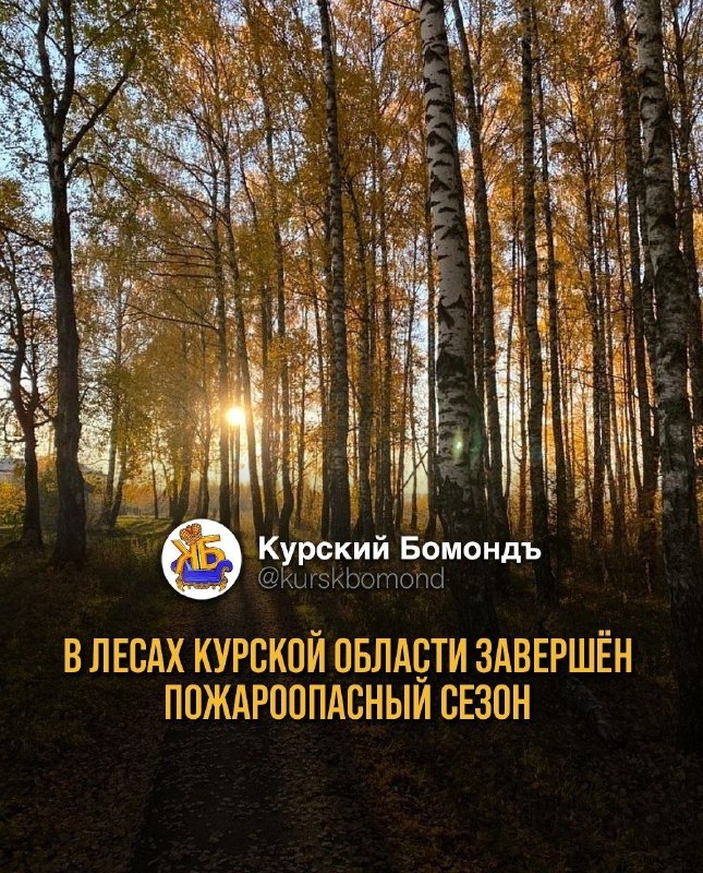 Фото поста канала  КУРСК НА СВЯЗИ | 46