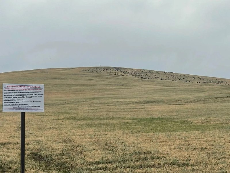 Фото поста канала  Радиоточка НСН