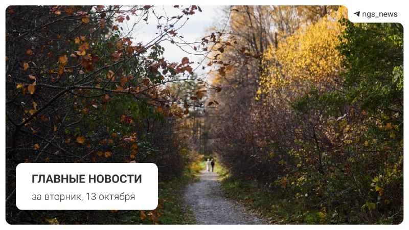 Фото поста канала НГС — новости Новосибирска