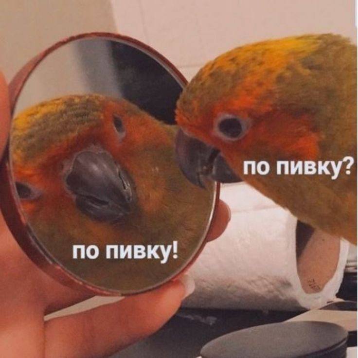 Фото поста канала  NEWS.ru | Новости