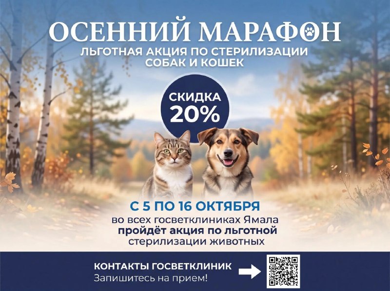 Фото поста канала  ИА ЛАБЫТНАНГИ