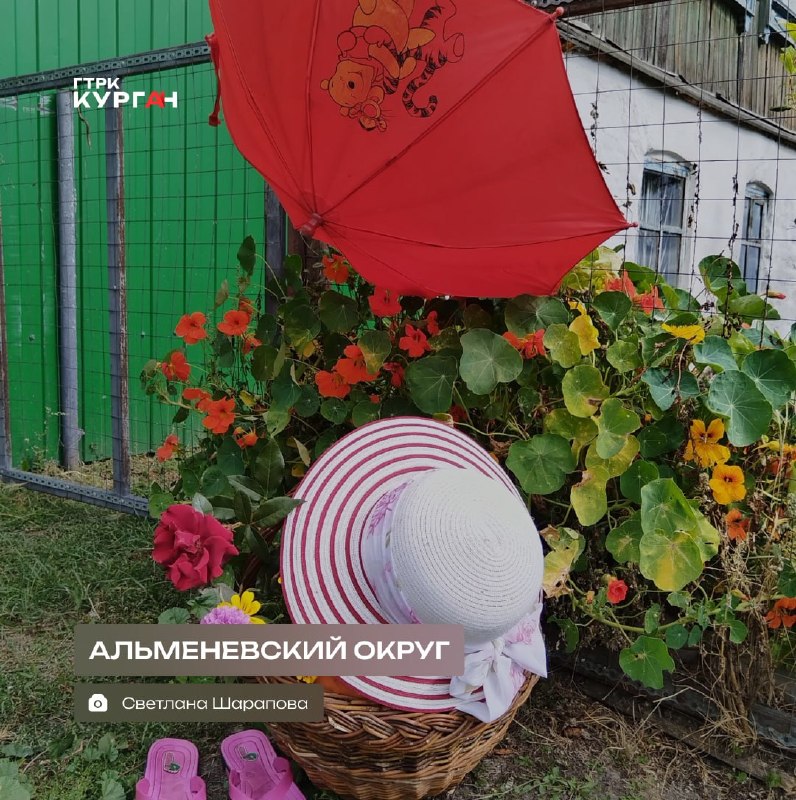 Фото поста канала  Мониторинг 45 Курганская область