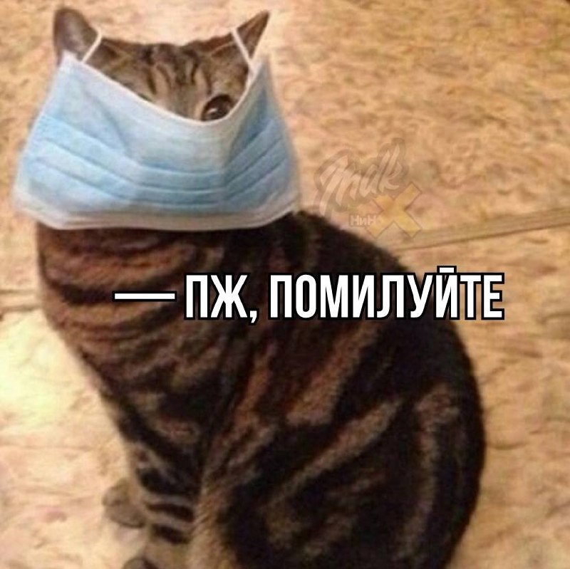Фото поста канала  Нижний Новгород БЕЗ ЦЕНЗУРЫ