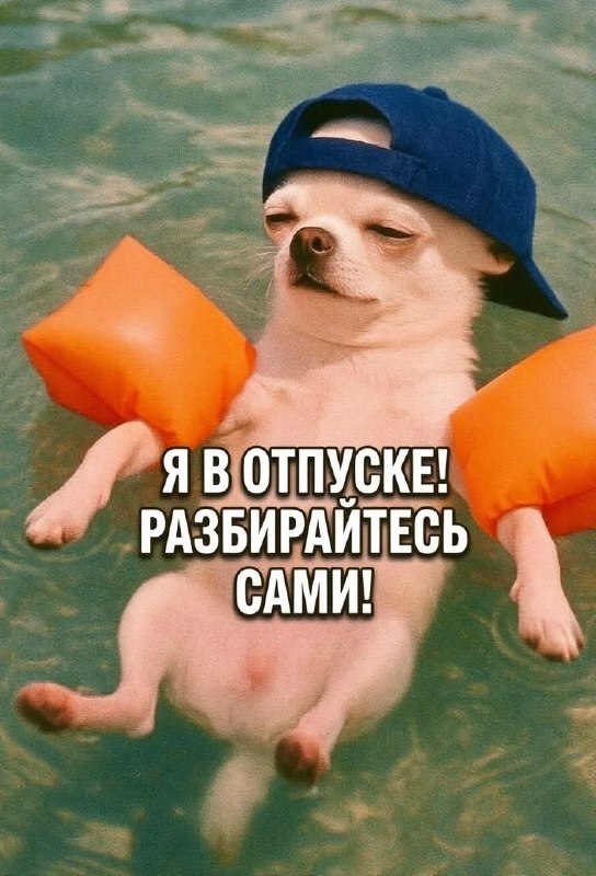 Фото поста канала  Новый Мелитополь