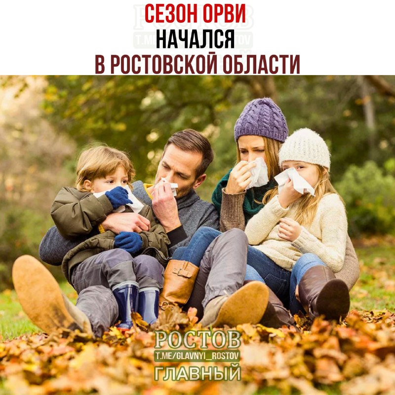 Фото поста канала  Ростов Главный новости