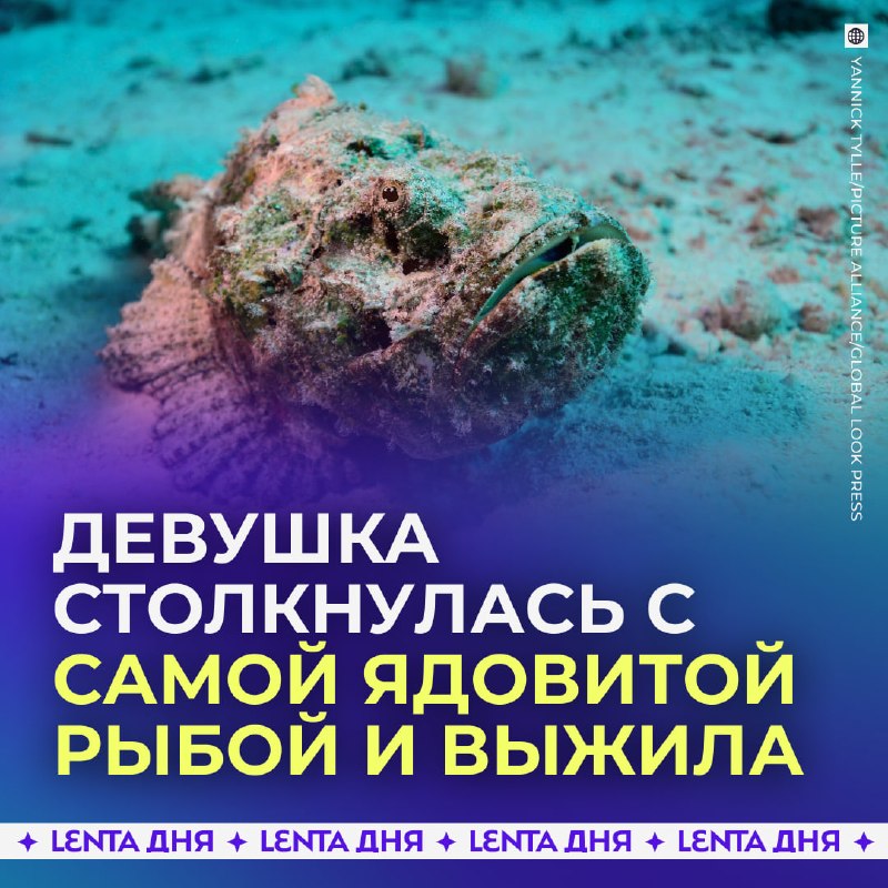 Фото поста канала Лента дня