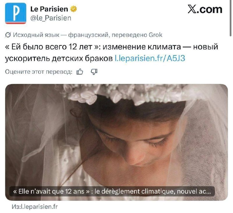 Фото поста канала  Мяу