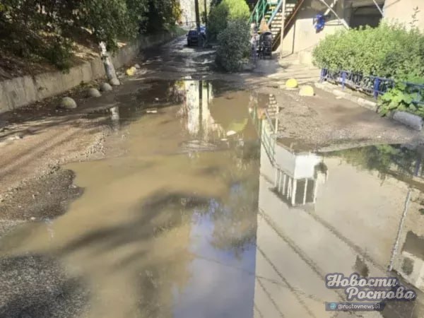 Фото поста канала  Новости Ростова - Rostovnews61