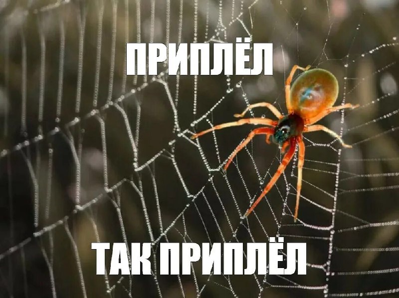 Фото поста канала  Терриконы Донбасса