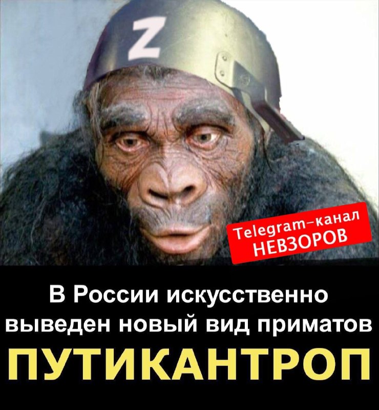 Фото поста канала НЕВЗОРОВ 